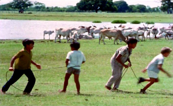 Alimentação