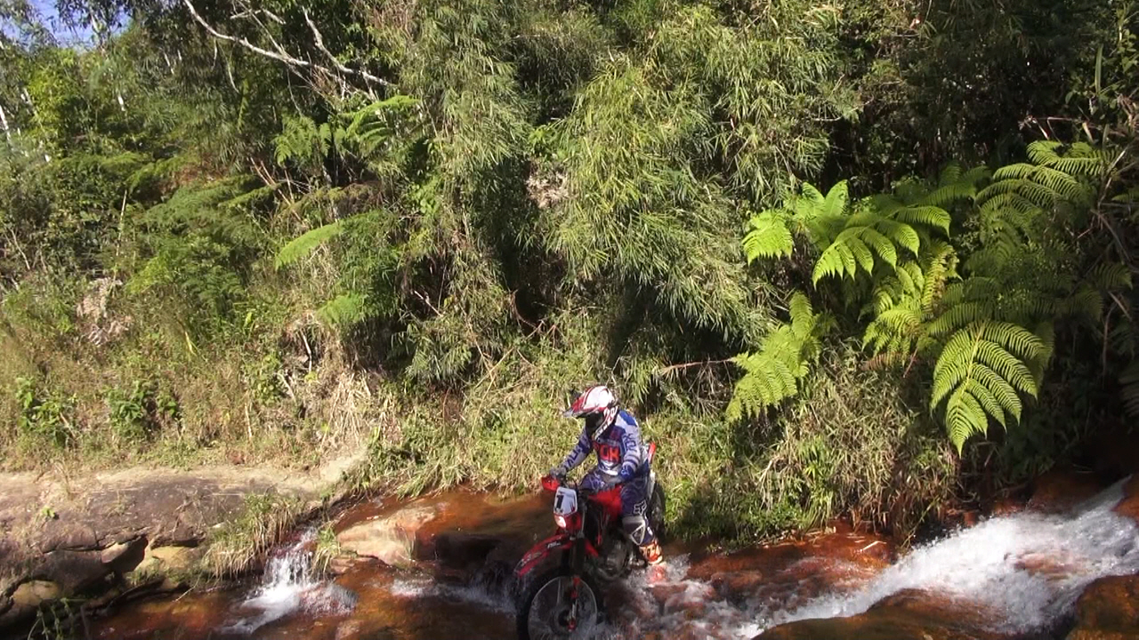 Estilo Radical