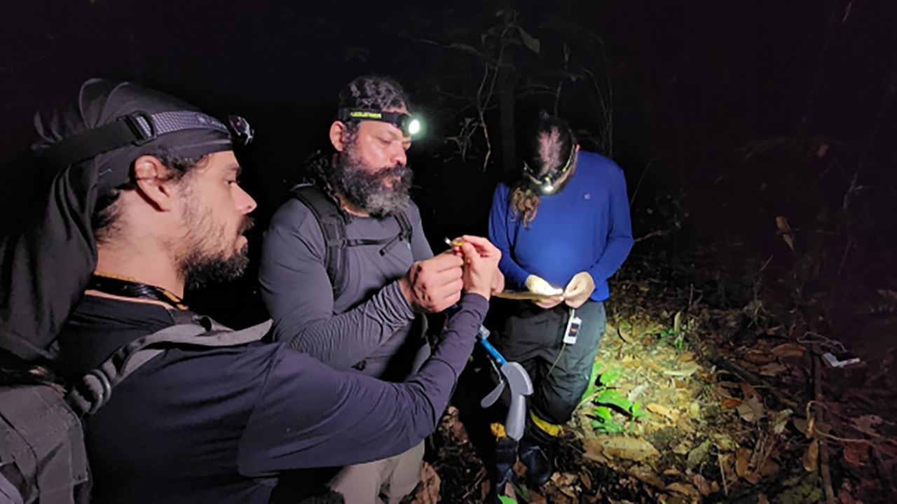 Expedição Pico de Jaca