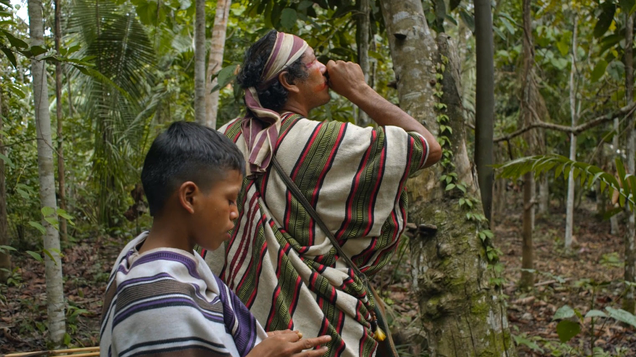 Floresta, Onde a Terra Respira
