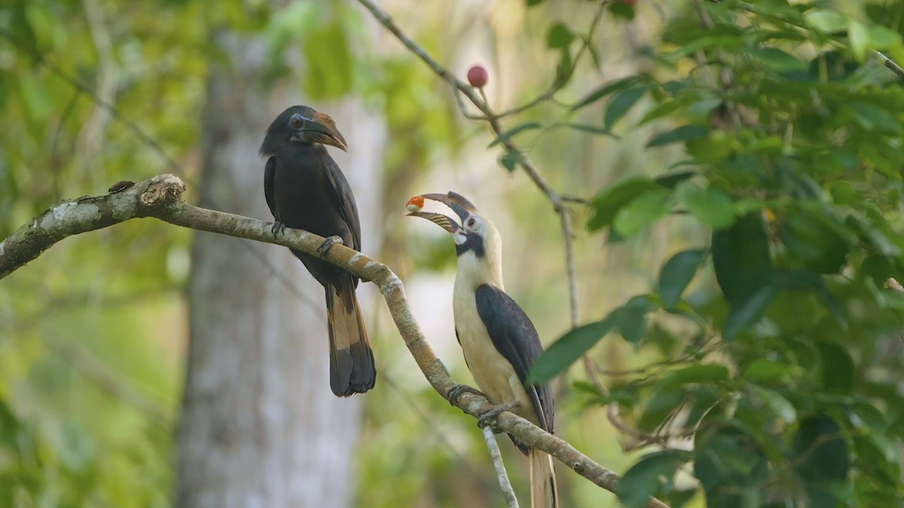 Maravilhas da Natureza