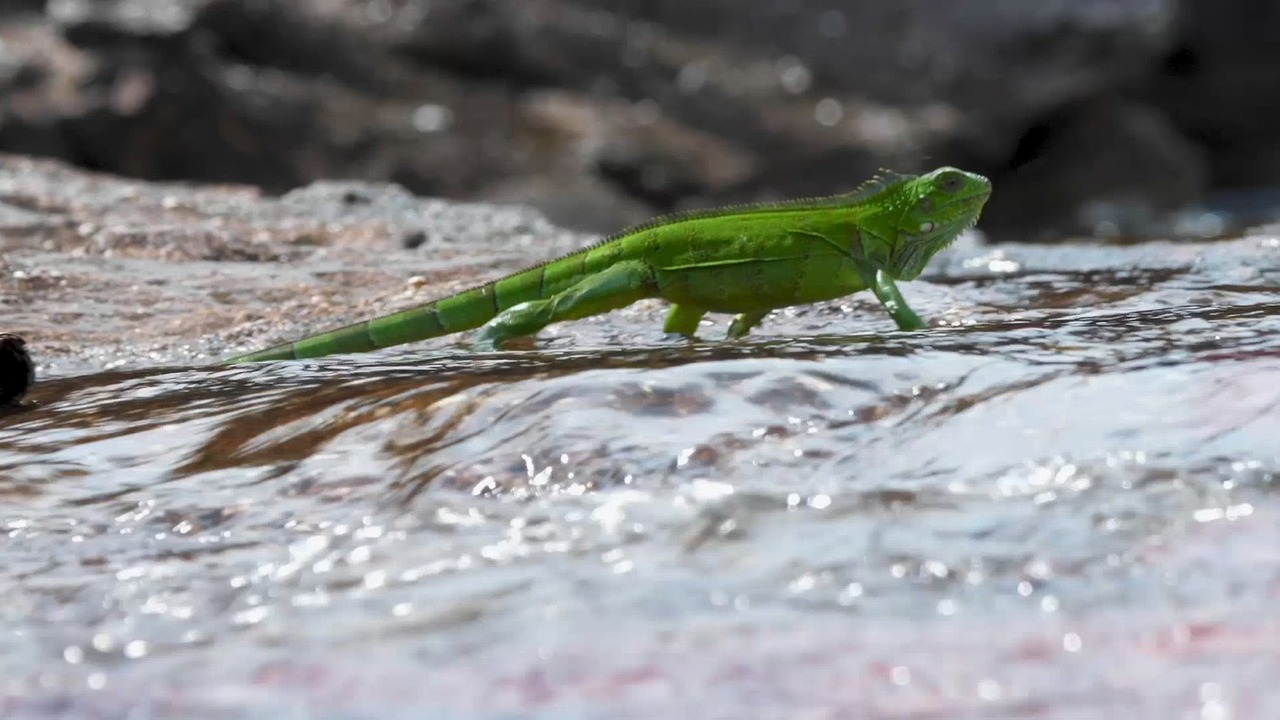 Maravilhas da Natureza