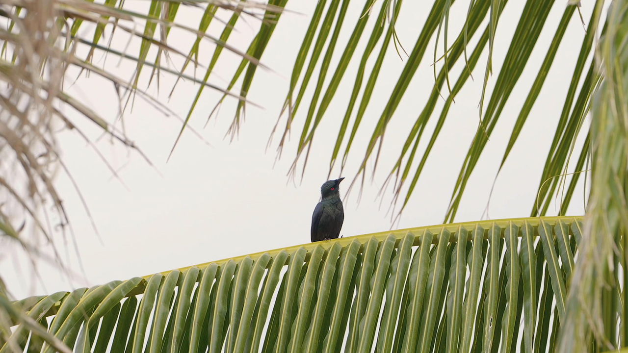 Maravilhas da Natureza