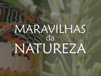Maravilhas da Natureza